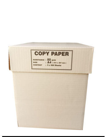 Box de 5 Ramettes de papier A4 Blanc ECO