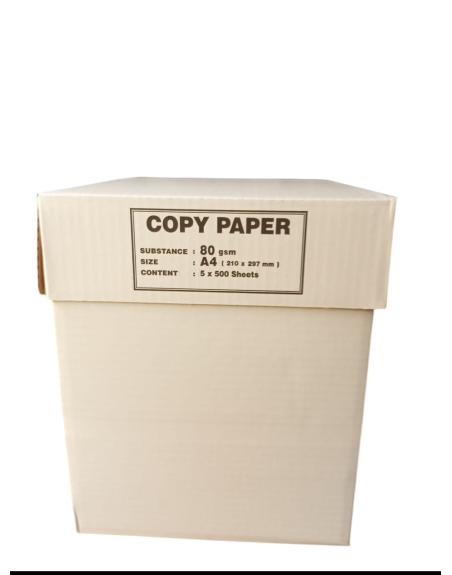 Box de 5 Ramettes de papier A4 Blanc ECO